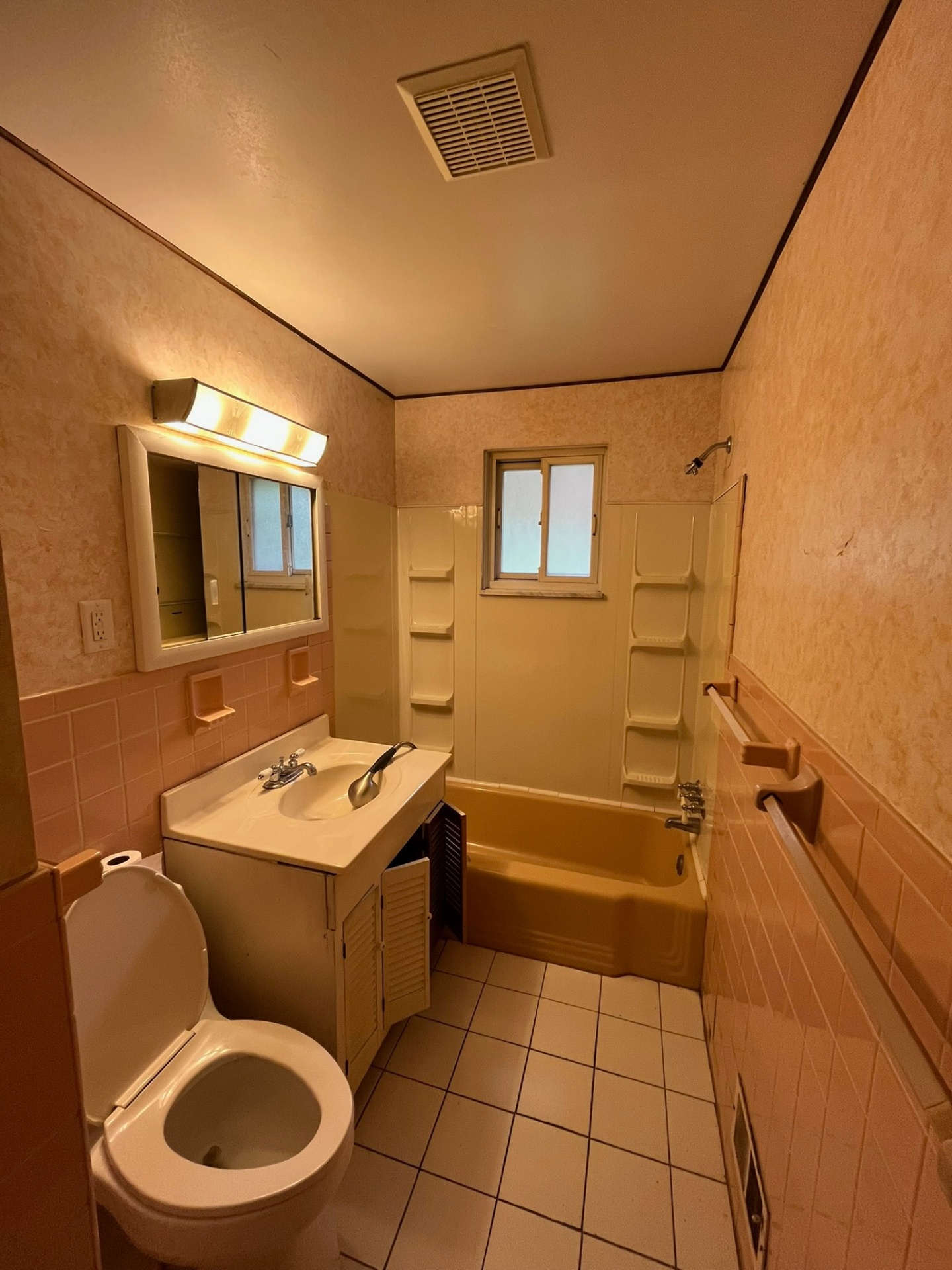 Before — Vanity & shower
